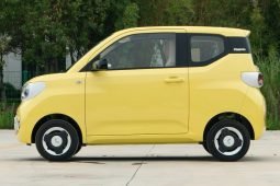 
 Wuling Hongguang MINIEV 2024 full									