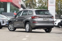 
 Volkswagen ŠKODA 2024 Kodiaq TSI330 5-seater 2WD Power full									