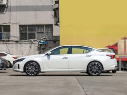 
 NISSAN SYLPHY 2022 2.0L XL-TLS Enjoyable full									