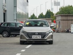 
 NISSAN SYLPHY 2022 2.0L XL-Upr Premium full									