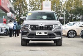 Volkswagen ŠKODA 2024 Kodiaq TSI330 5-seater 2WD Power